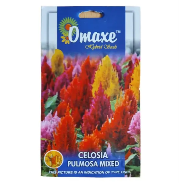 Omaxe Celosia Plumosa Mixed Flower Seeds-50 Seeds